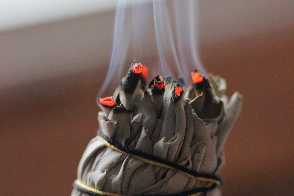 6 Reasons to Grow Sage in Your Garden