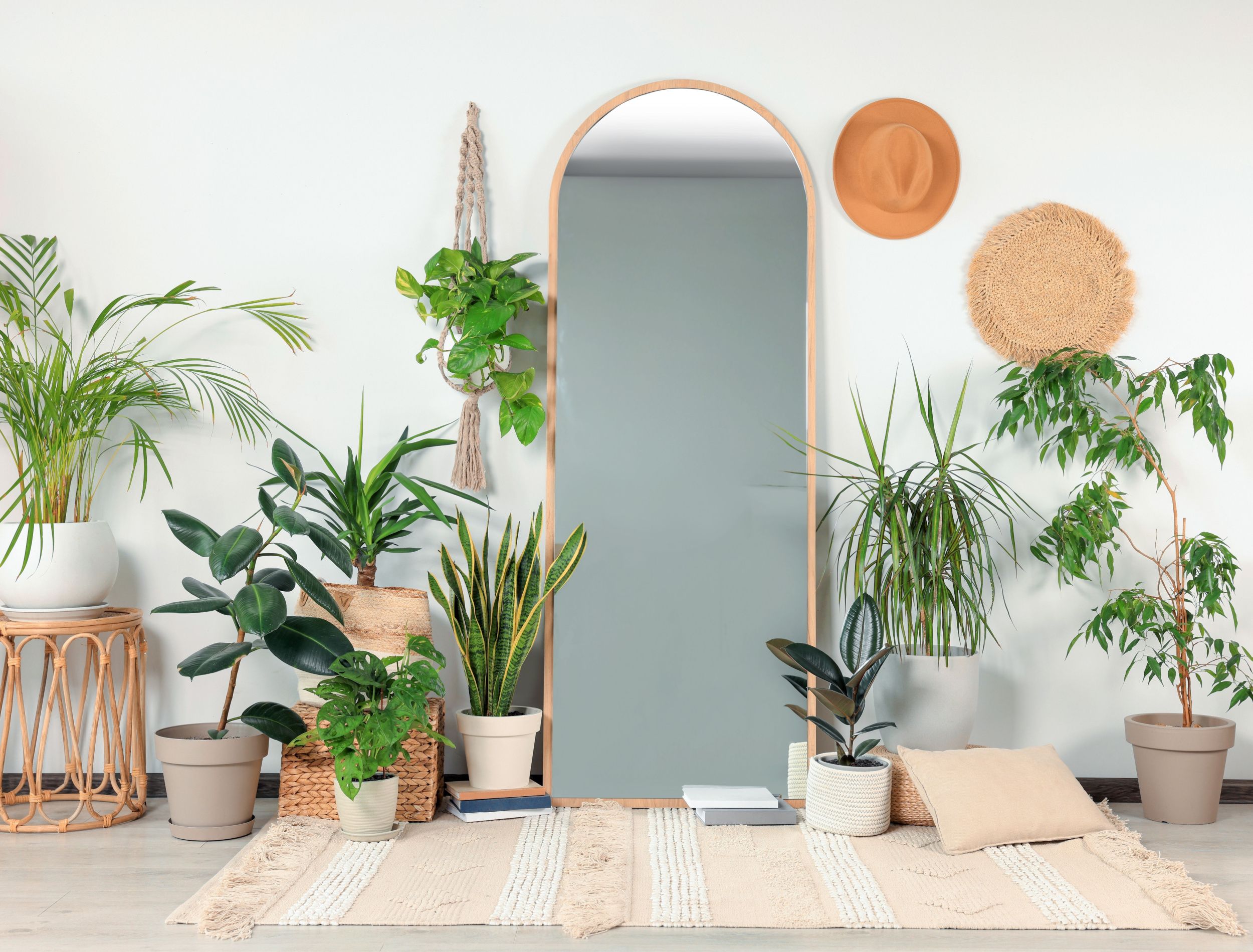 make space look bigger with houseplants
