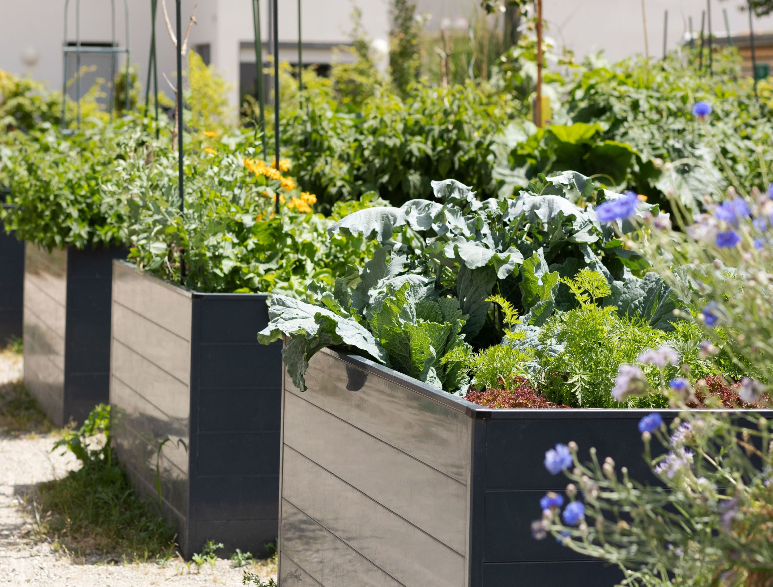 10 Ways to Make Your Raised Garden Bed Last