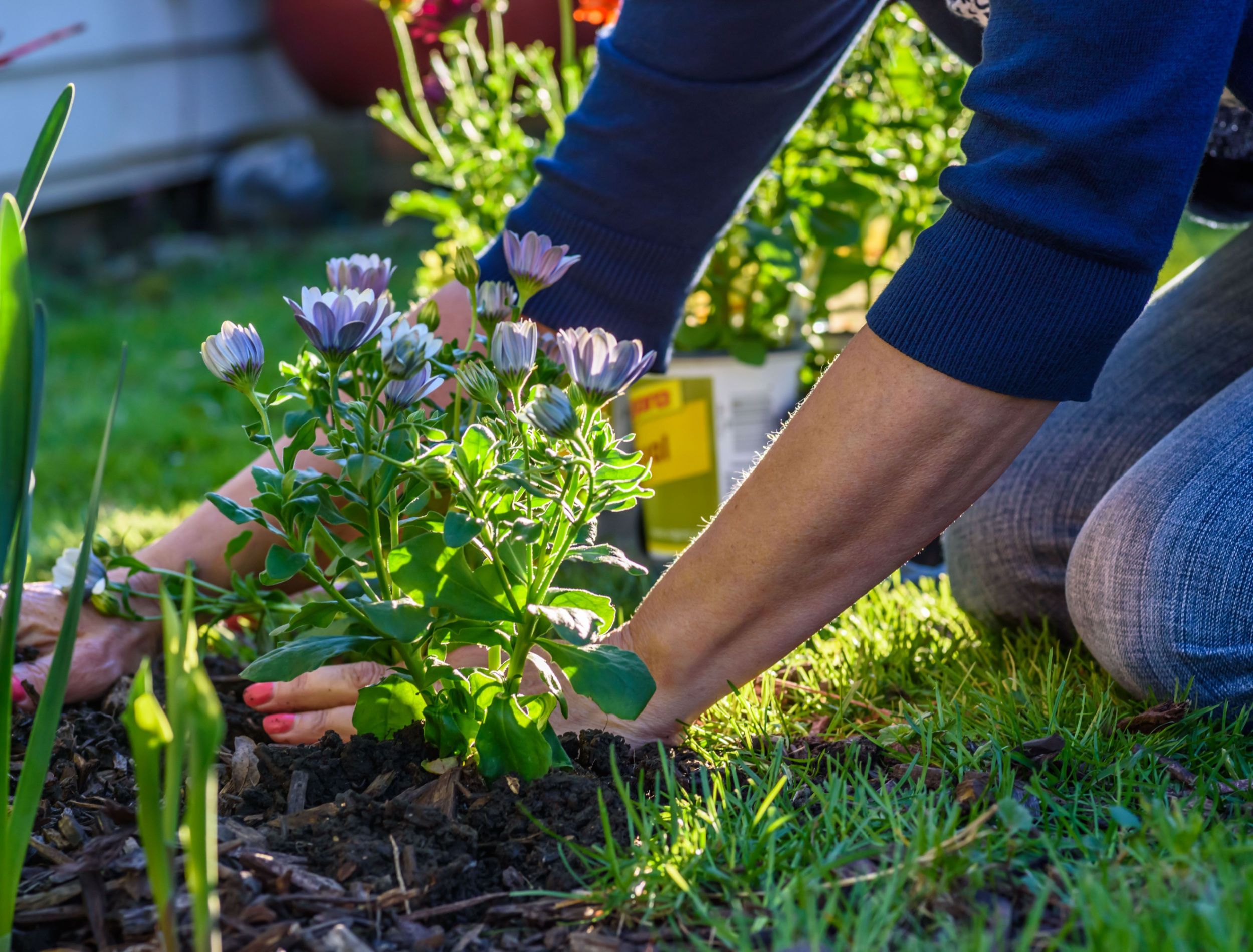 7 Ways To Get Rid Of Weeds In Your Flower Beds 0067