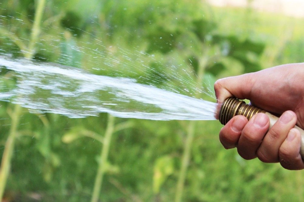 person holding a water hose with grass in the background