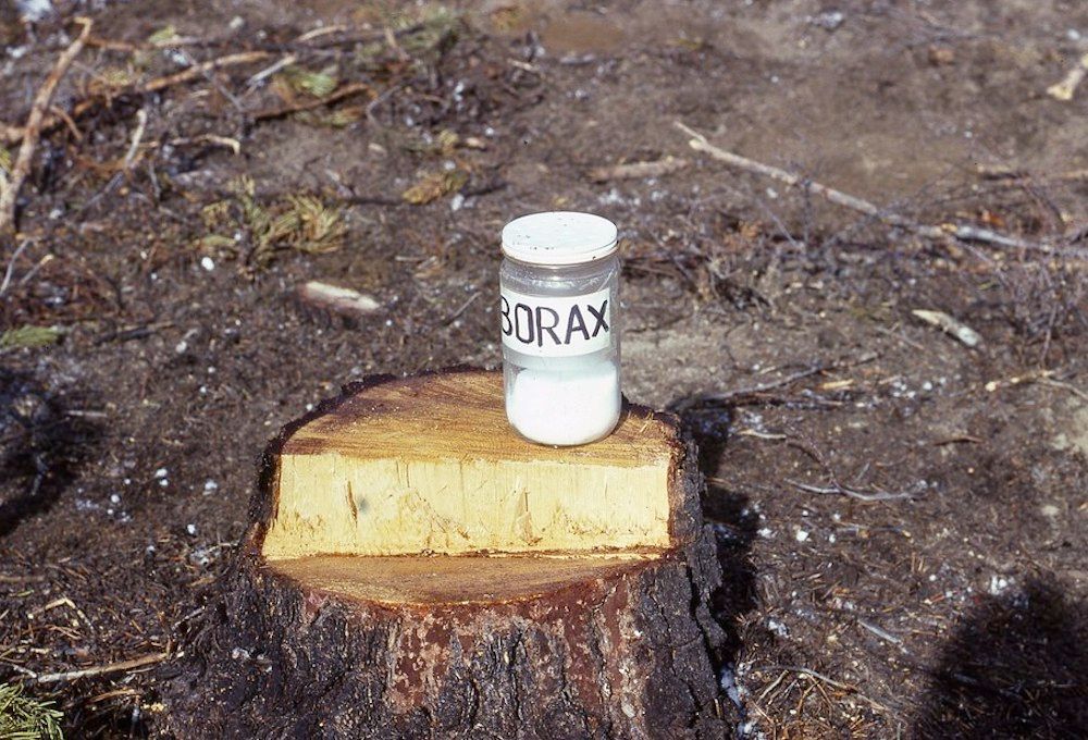 A small bottle of borax placed on a tree stump.