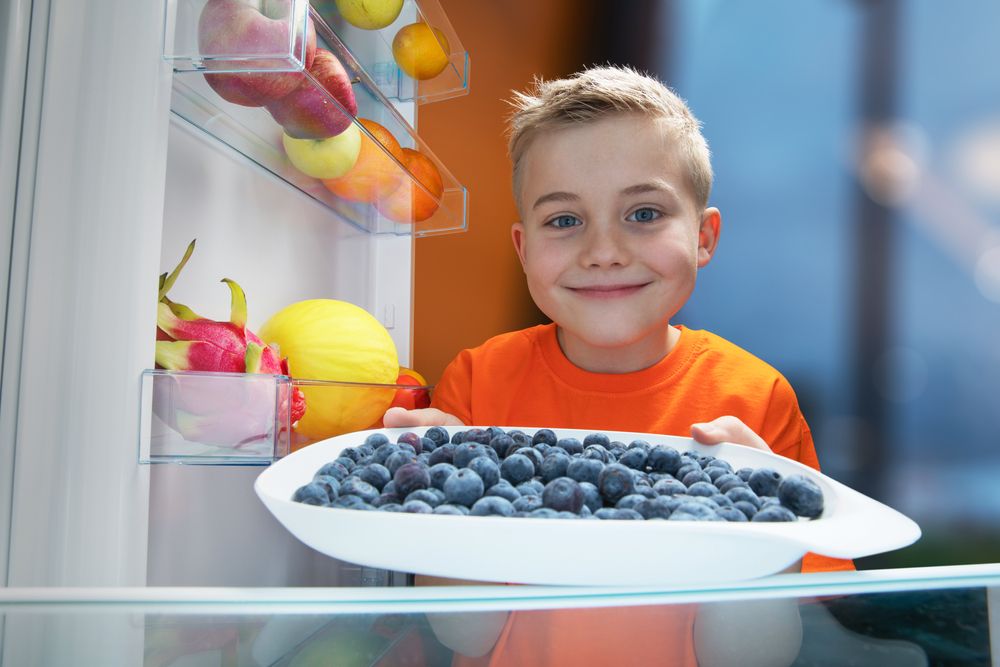 Picking Blueberries When and How To Harvest Your Fruit