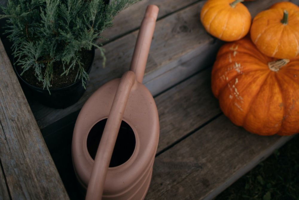 Brown watering can next to ripe pumpkins on a deck
