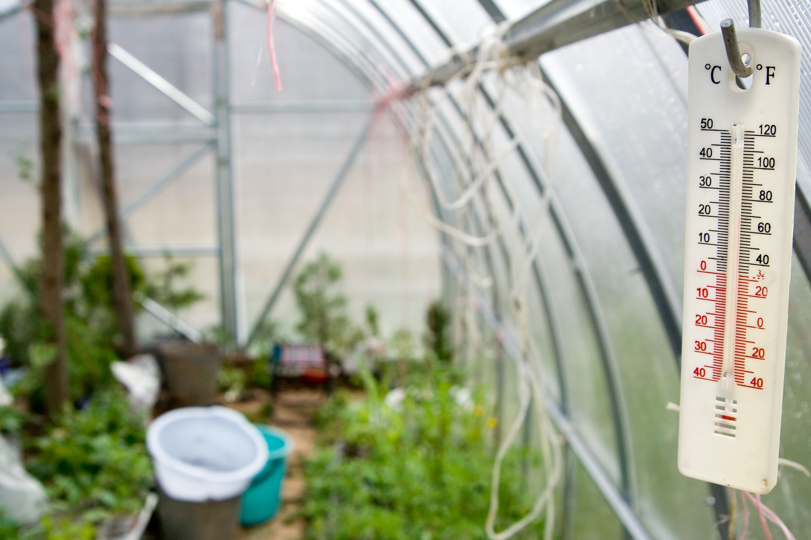 what-s-the-best-temperature-for-your-greenhouse