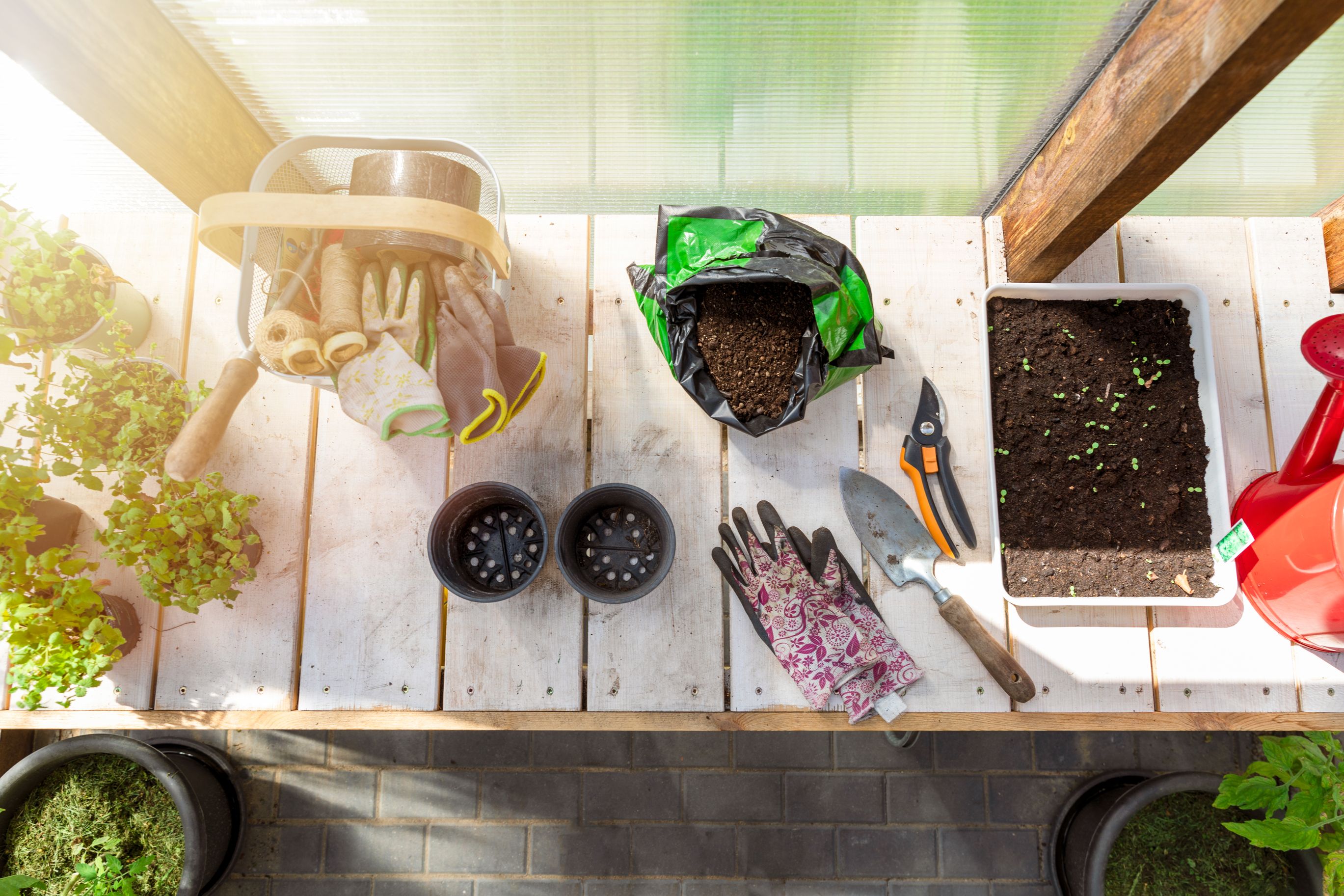 8 Tips For Beginner Greenhouse Gardeners 8 Tips For Beginner Greenhouse Gardeners