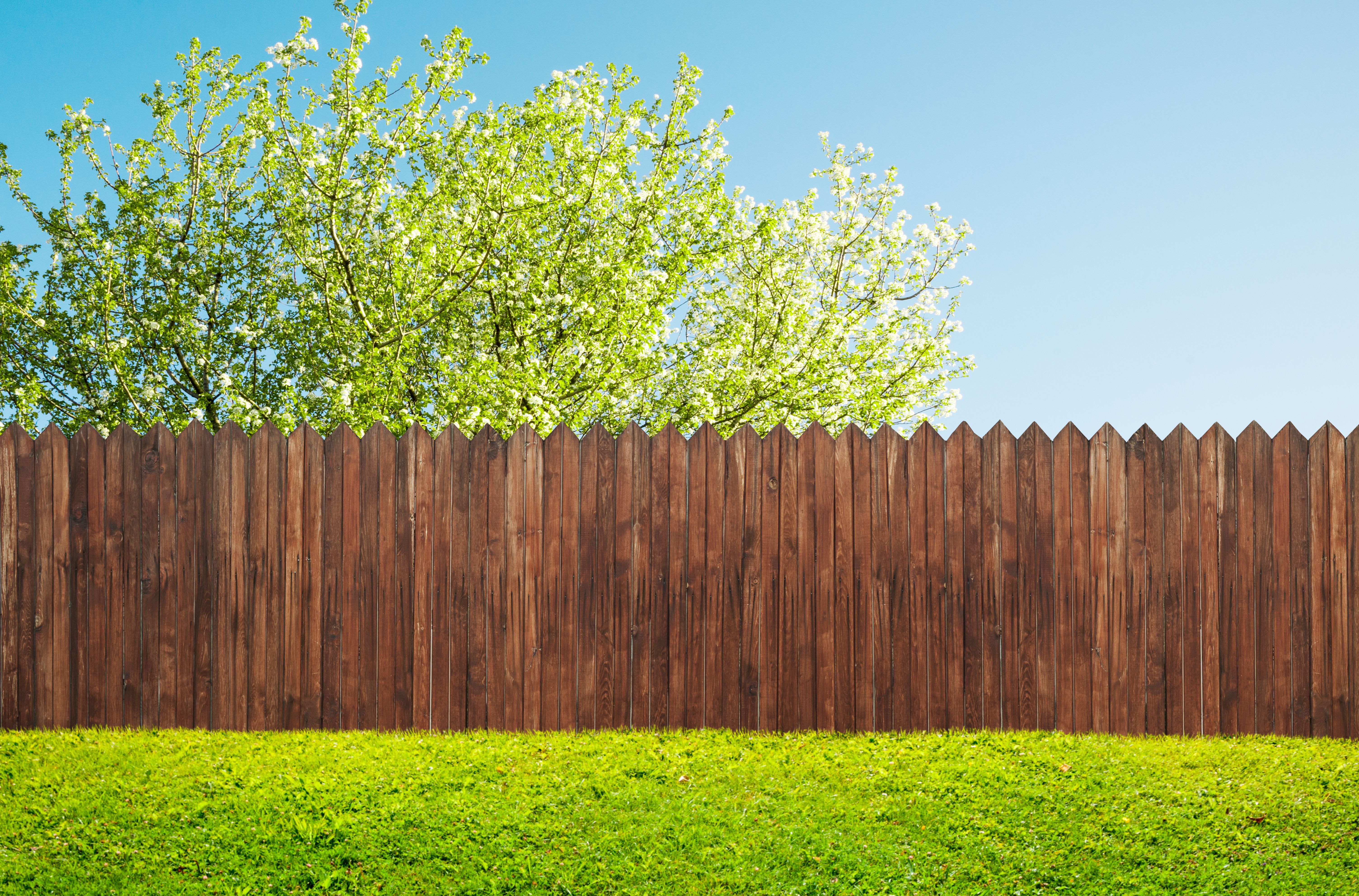 Fence in the springtime 