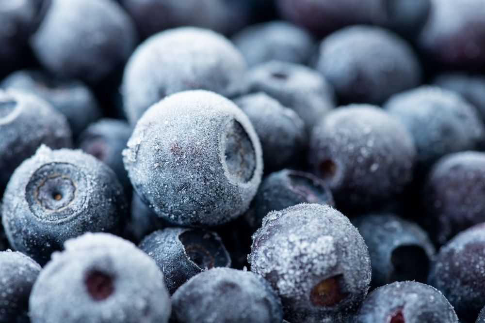 How to Store Your Freshly Picked Blueberries