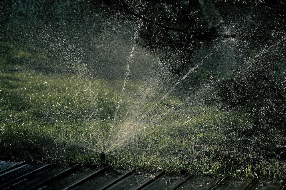 Hose vs Sprinkler What's Better For Your Lawn?