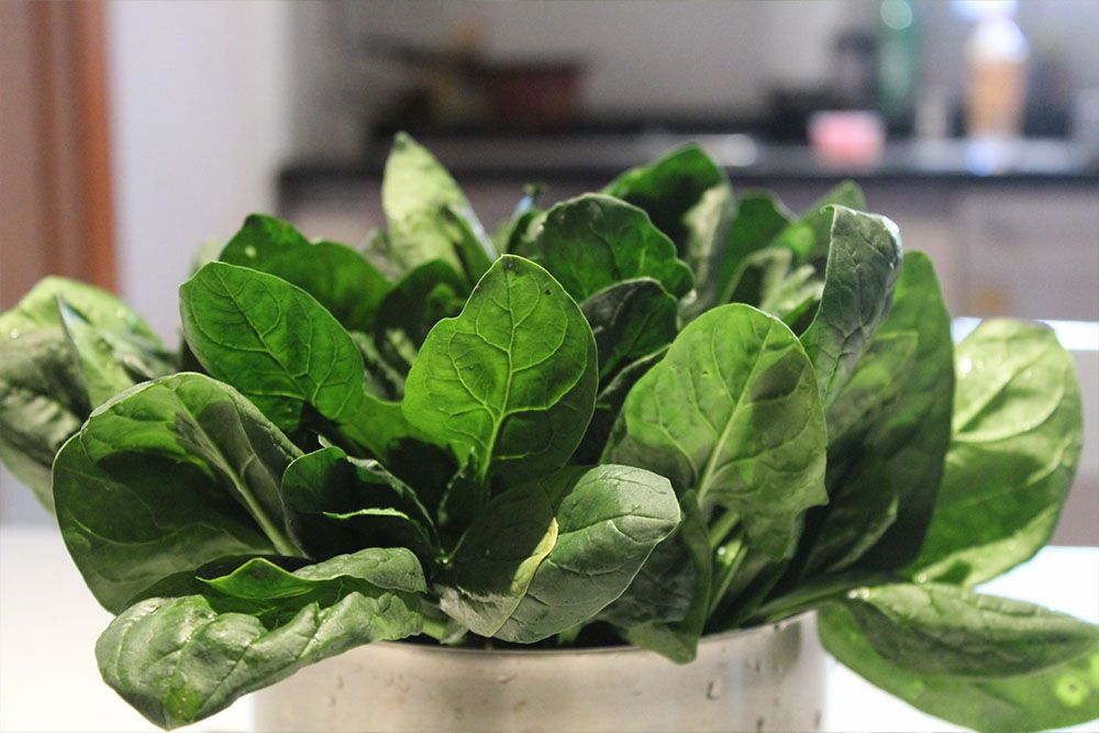 How to Store Fresh Spinach