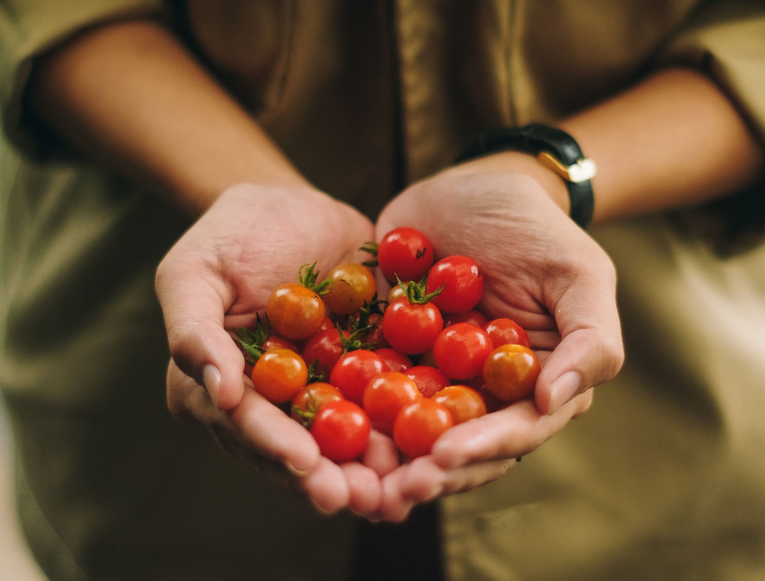 Discover More In Vegetables On Flipboard discover-more-in-vegetables-on-flipboard