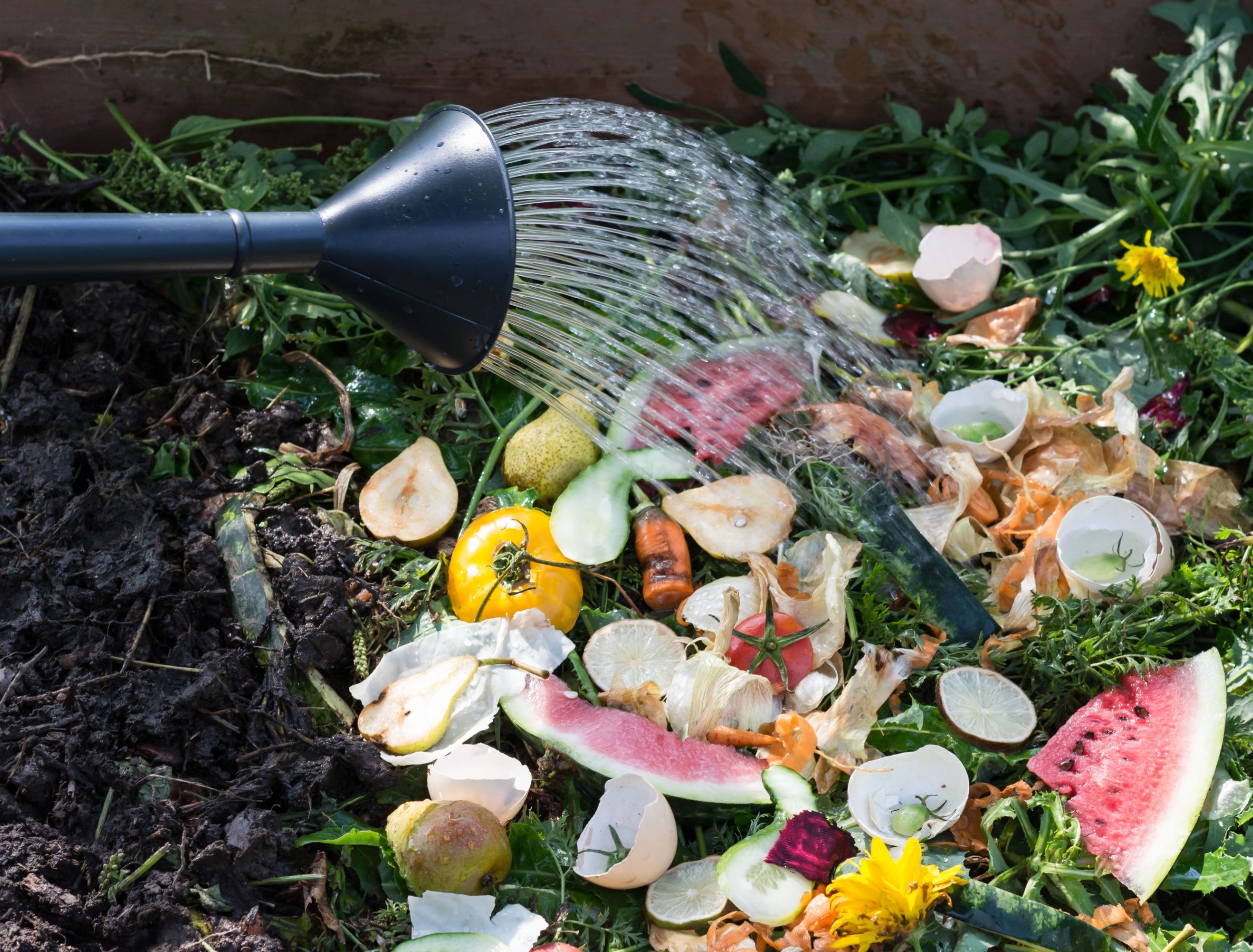 Why You Should Add Vinegar to Your Compost