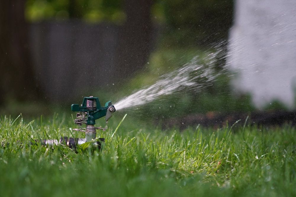 Hose vs Sprinkler What's Better For Your Lawn?