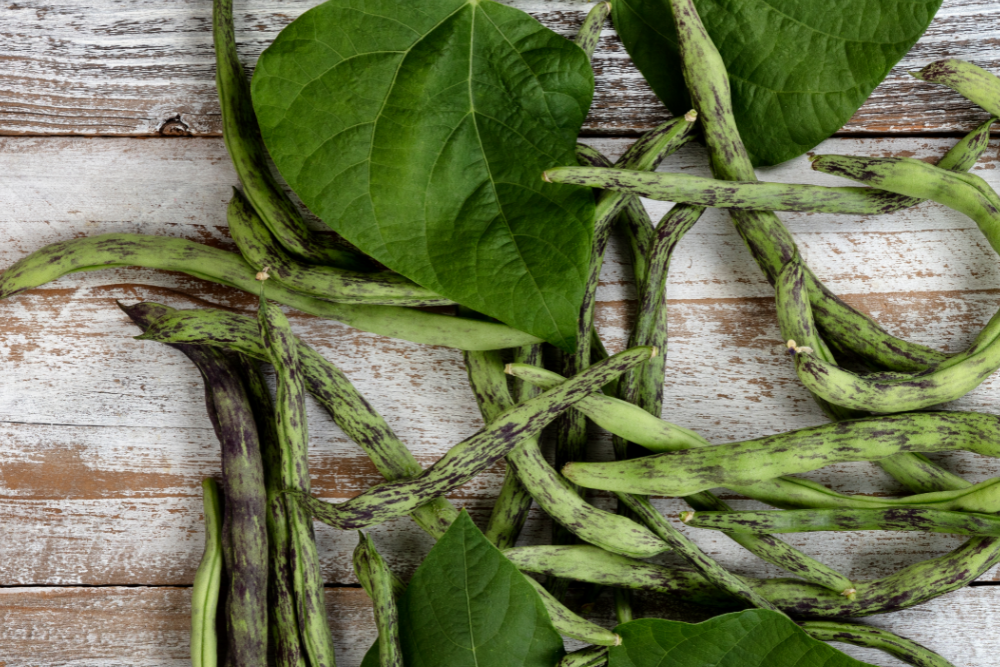 How to Properly Prune Pole Beans