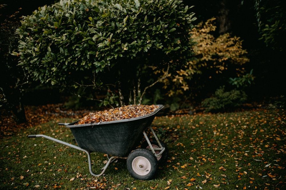 wheelbarrow of fall leaves