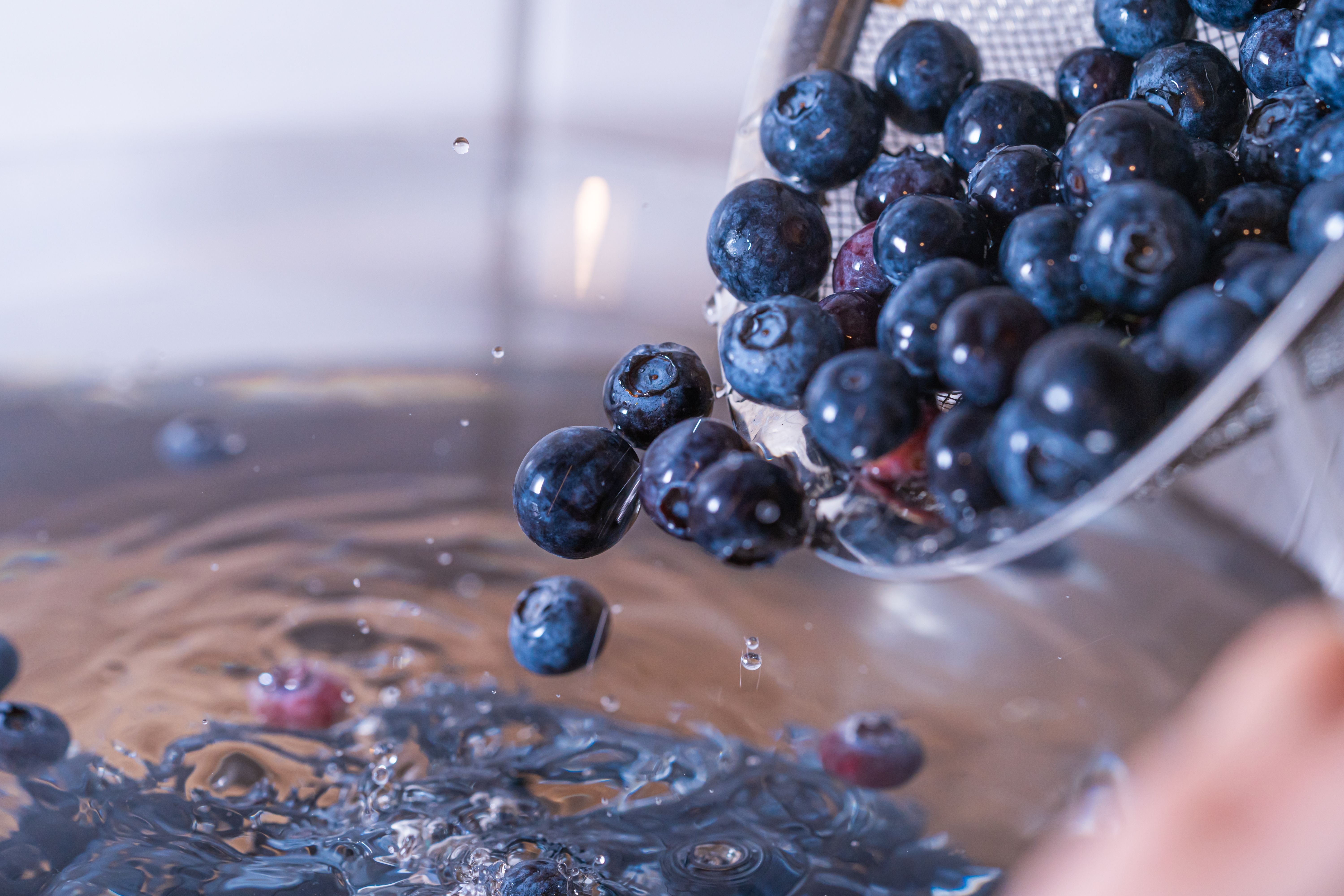 Picking Blueberries: When And How To Harvest Your Fruit