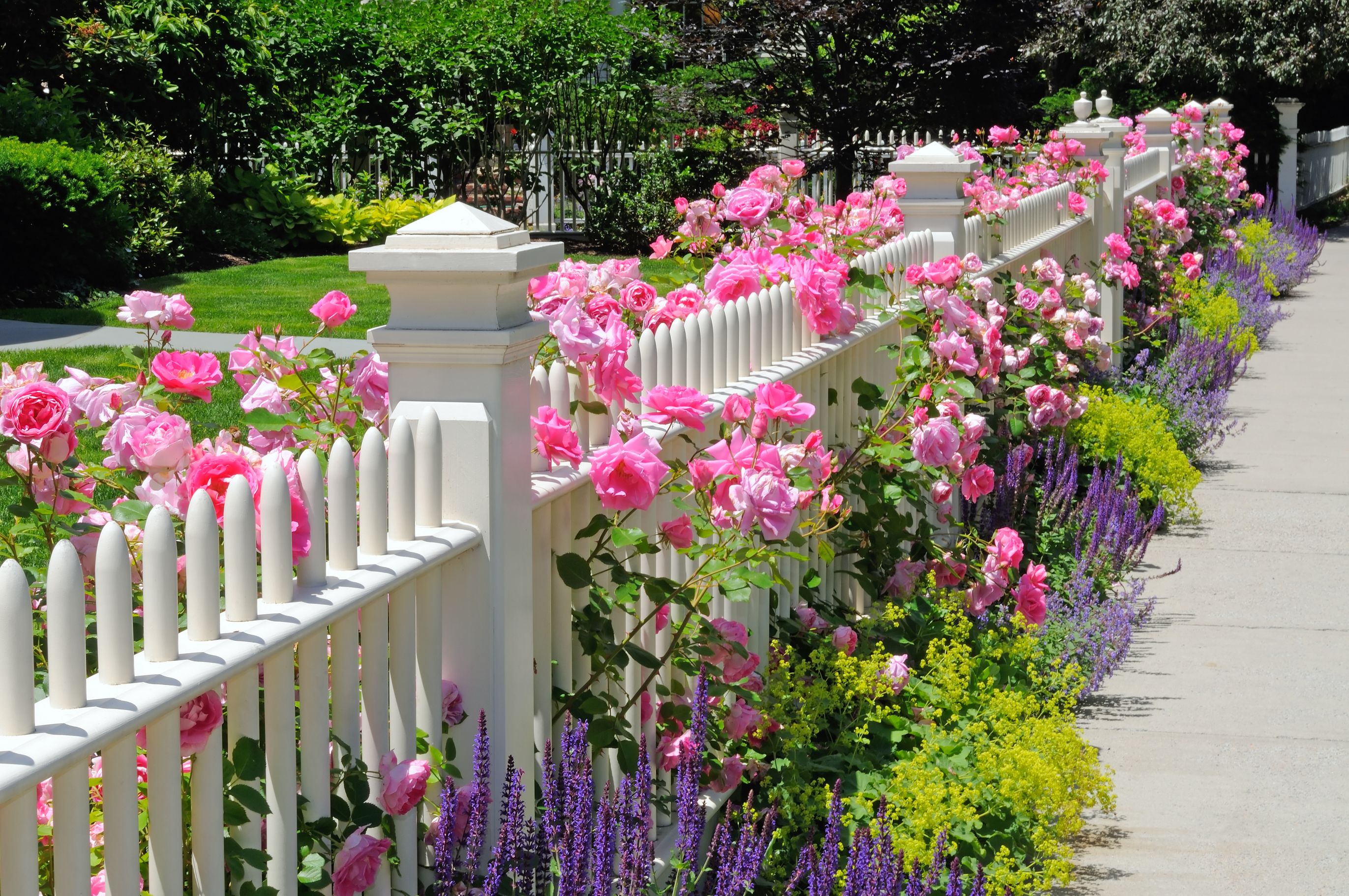 8 Beautiful Landscaping Ideas For Your Fence Line