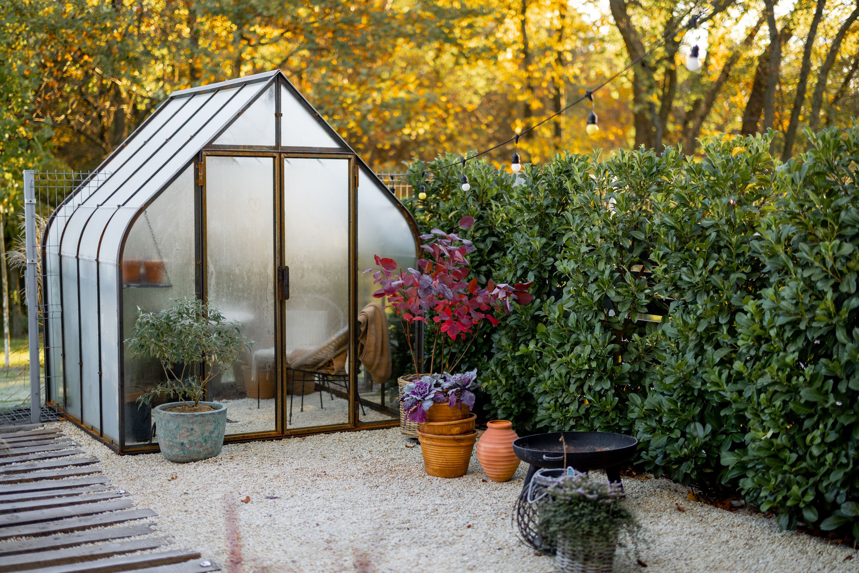 Best backyard greenhouse