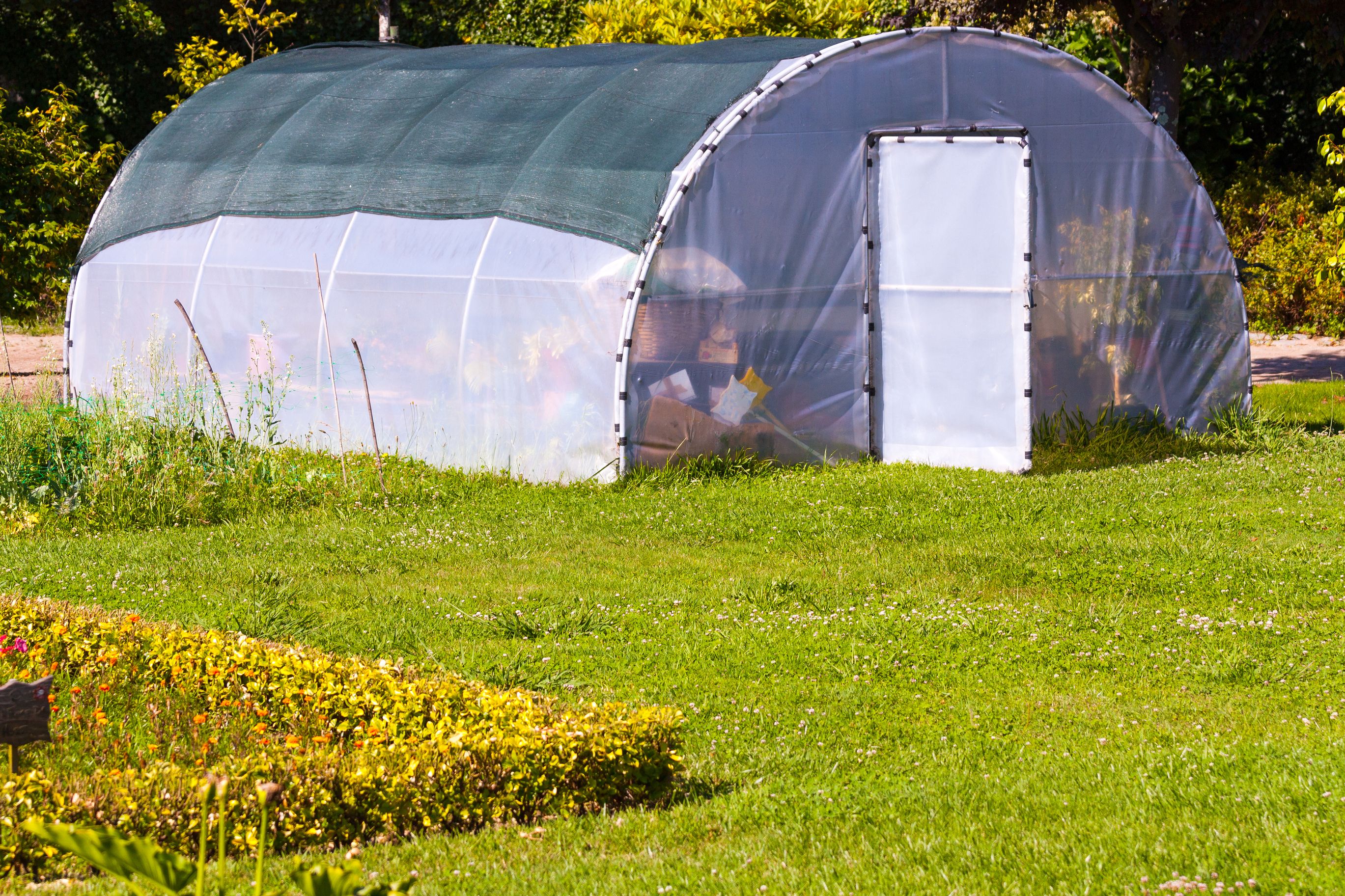 8 Best Materials For Your Backyard Greenhouse