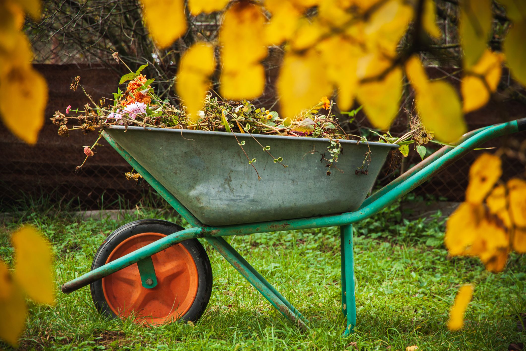 Plastic vs Steel Wheelbarrows: Which is Best?