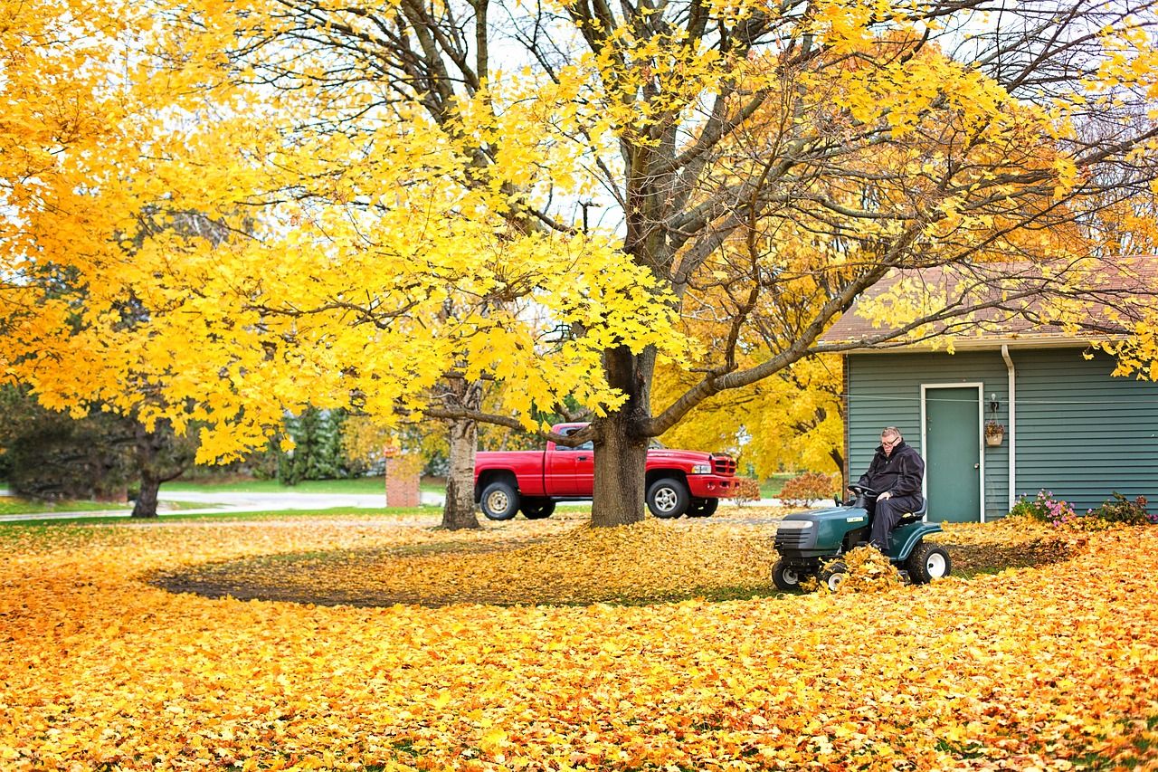 6 Benefits of Using Leaves as Mulch on Your Lawn