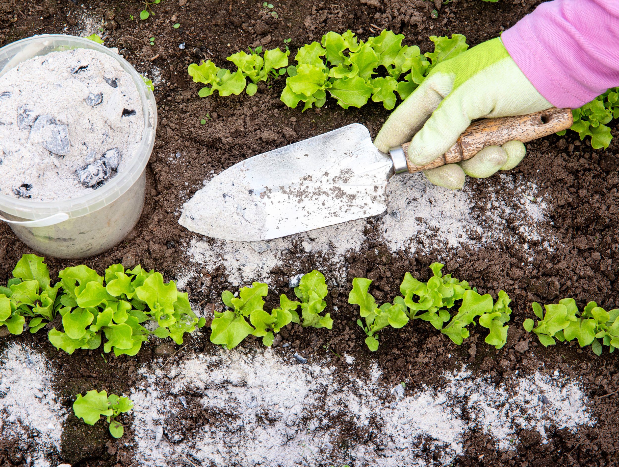 6 Ways to Reuse Ash From Your Fire Pit