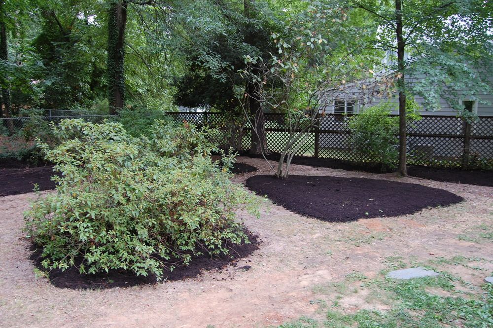5 Mulch Mistakes That Can Kills Your Trees or Plants
