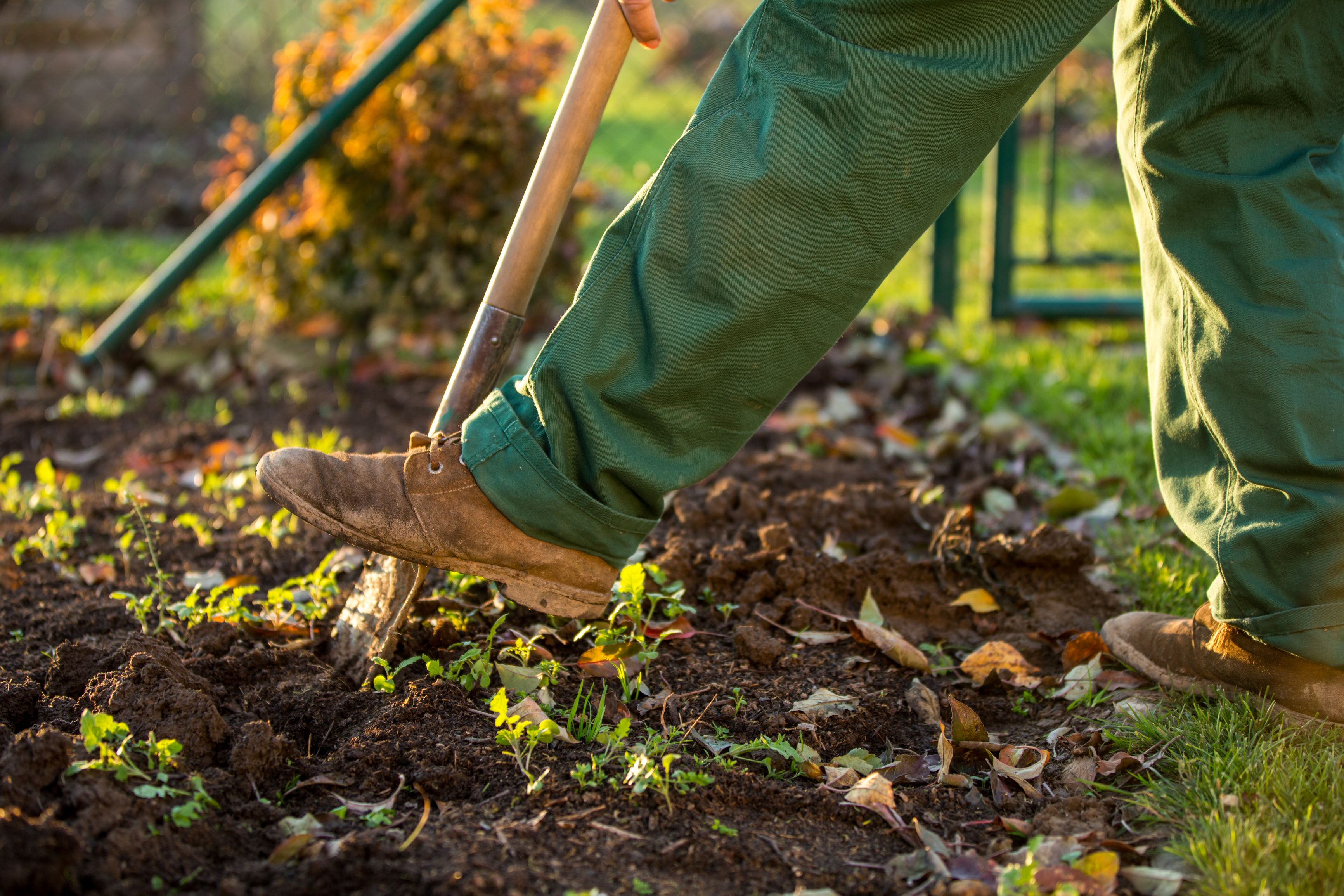 7 Ways to Rejuvenate Your Garden Soil This Fall