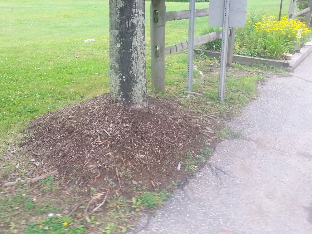 5 Mulch Mistakes That Can Kills Your Trees or Plants