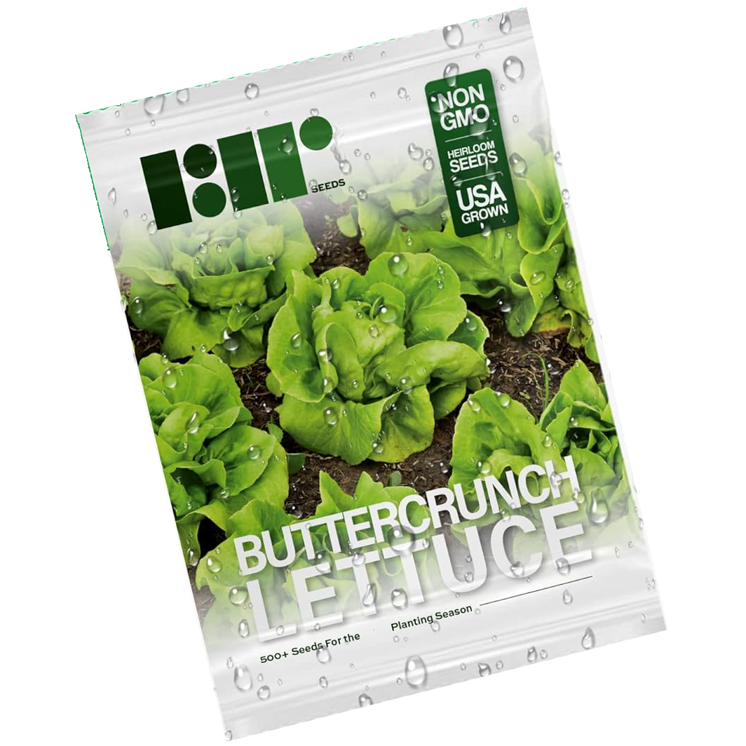 7 Vegetables to Direct Sow in October