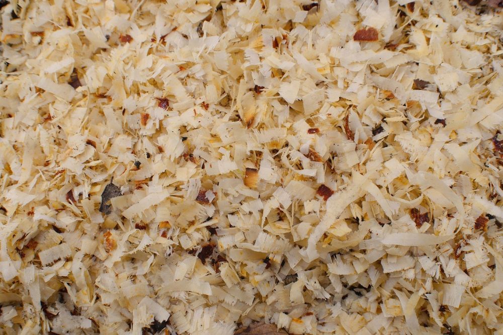 The Best Mulch For Trees and Shrubs