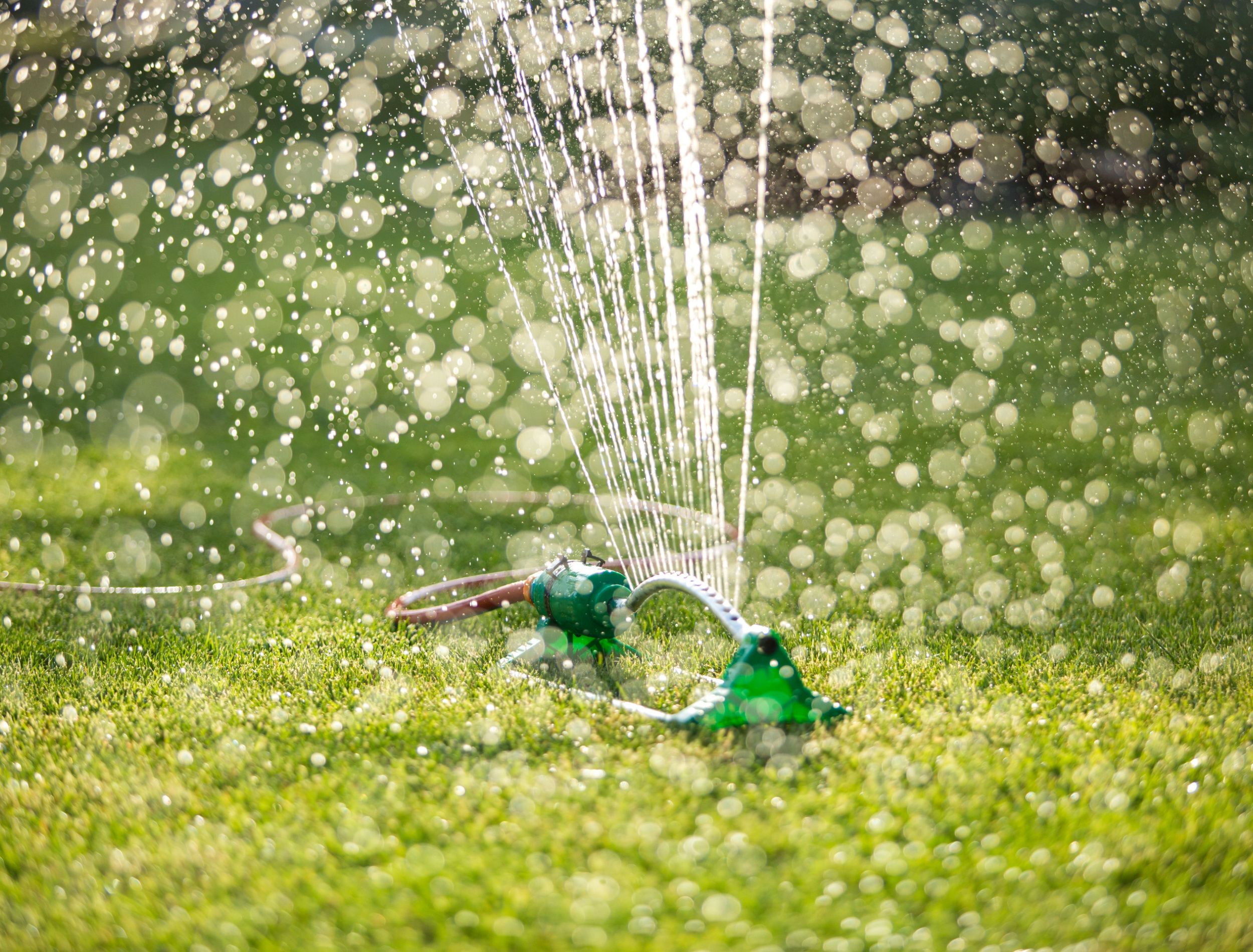 How Often to Water Your Lawn in Fall