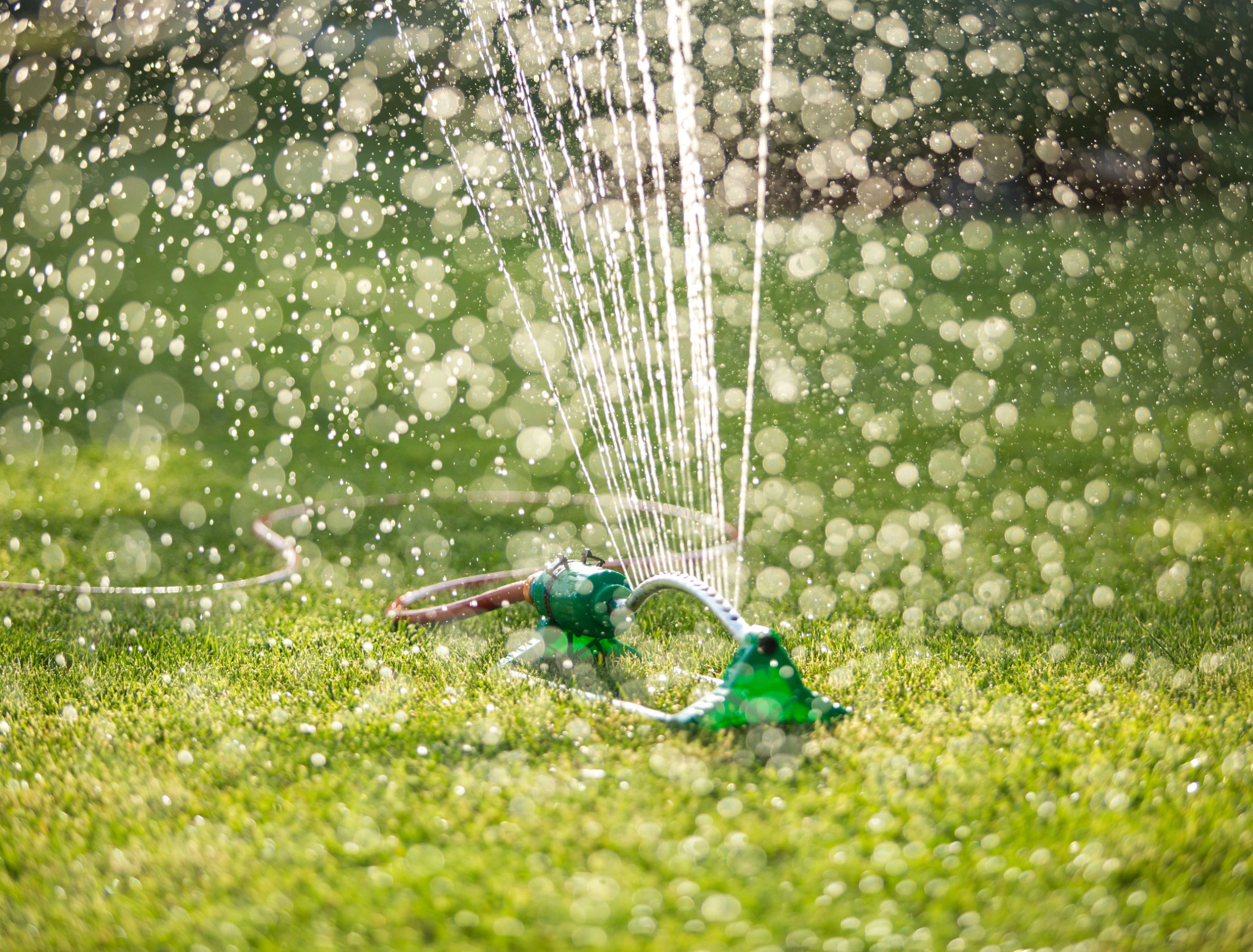 How Often Should You Water Grass In Fall how-often-should-you-water-grass-in-fall