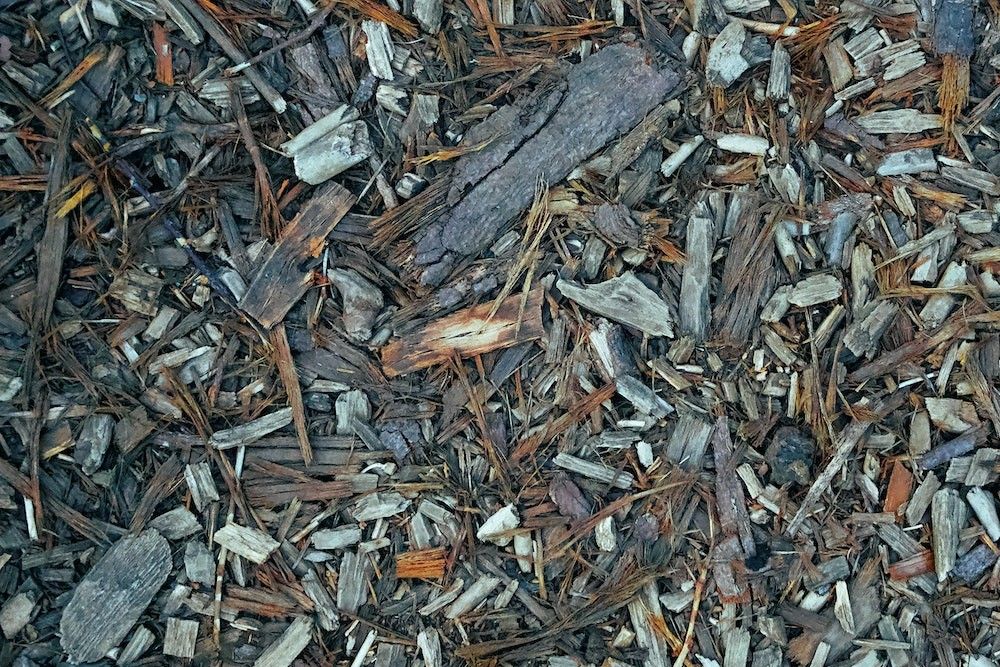 The Best Mulch For Pumpkins