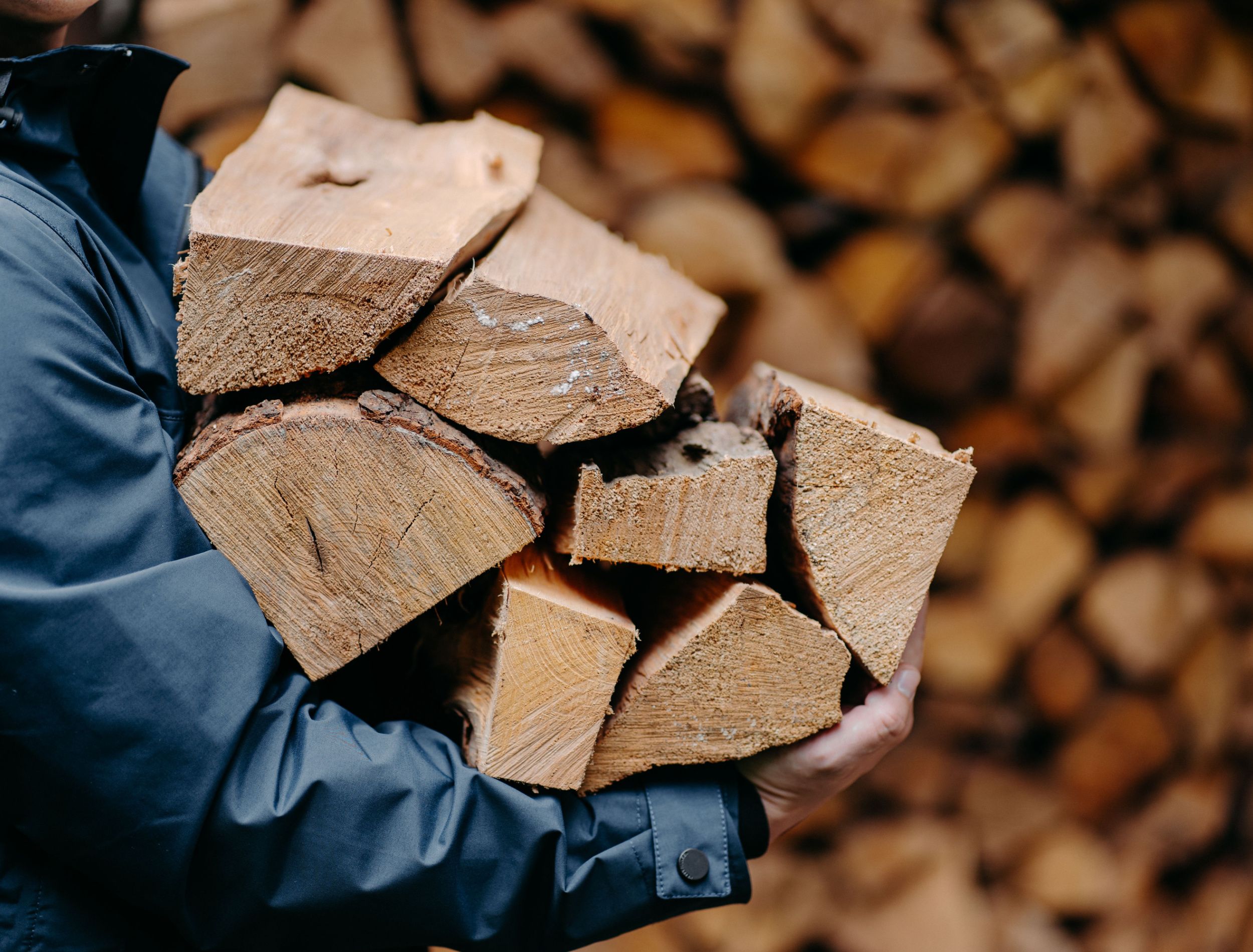Hardwood vs Softwood Which Is Better Firewood?
