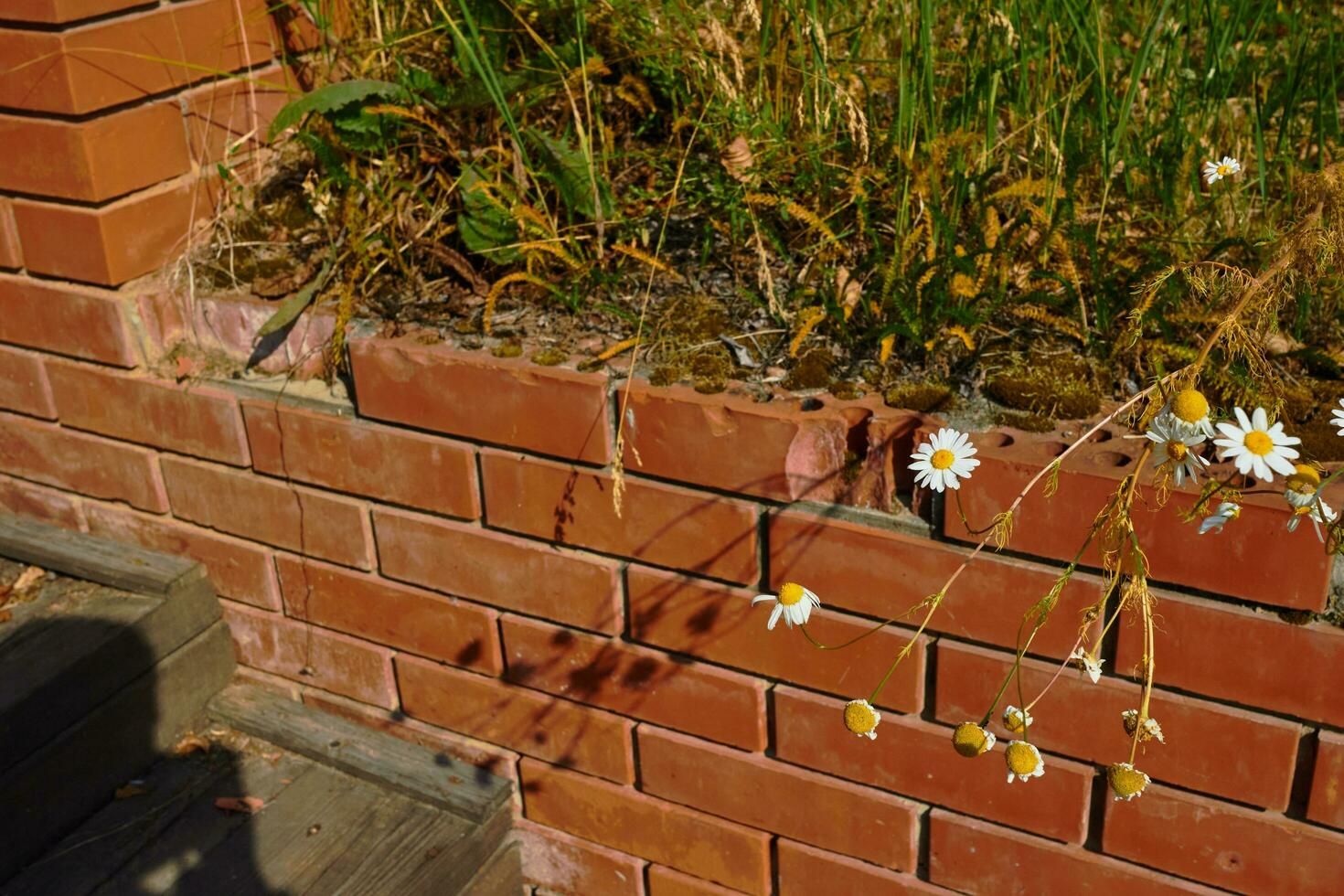 Bricks used in a retaining wall