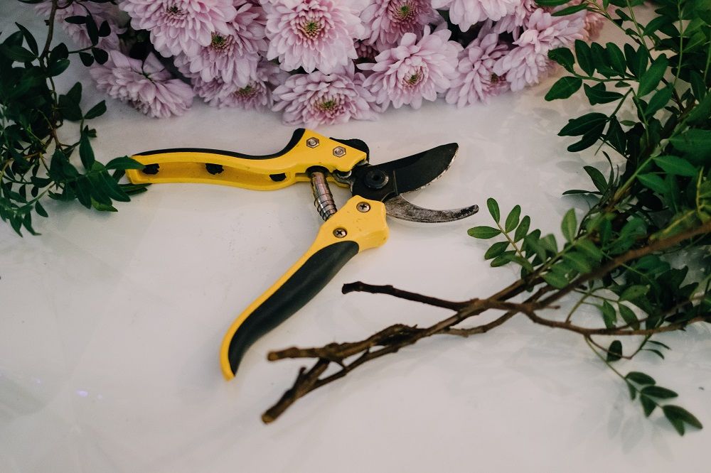 Pruning shears with flowers