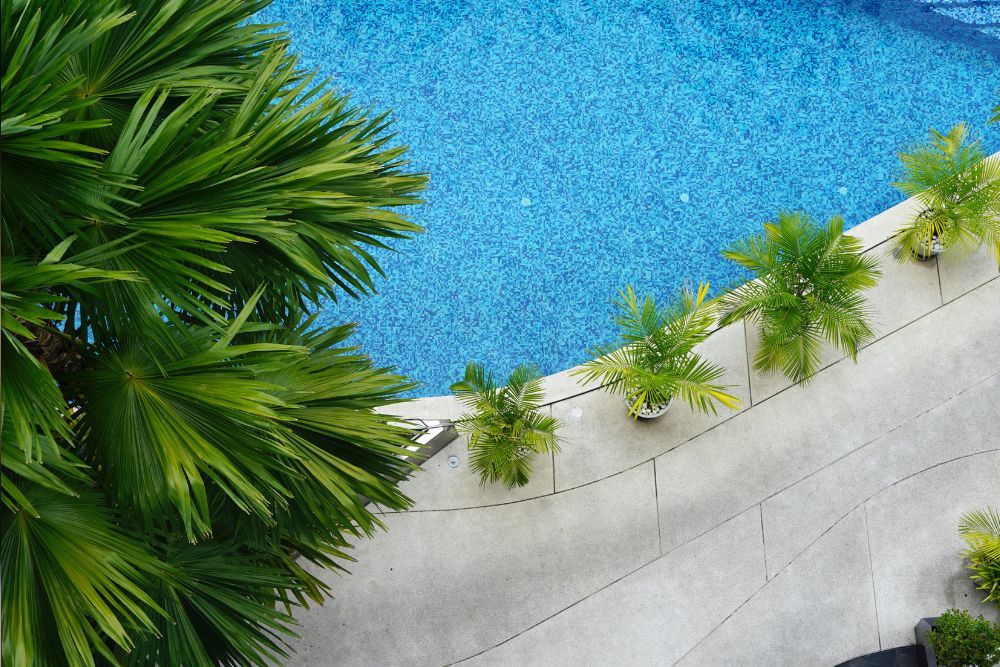 Plant pool wall