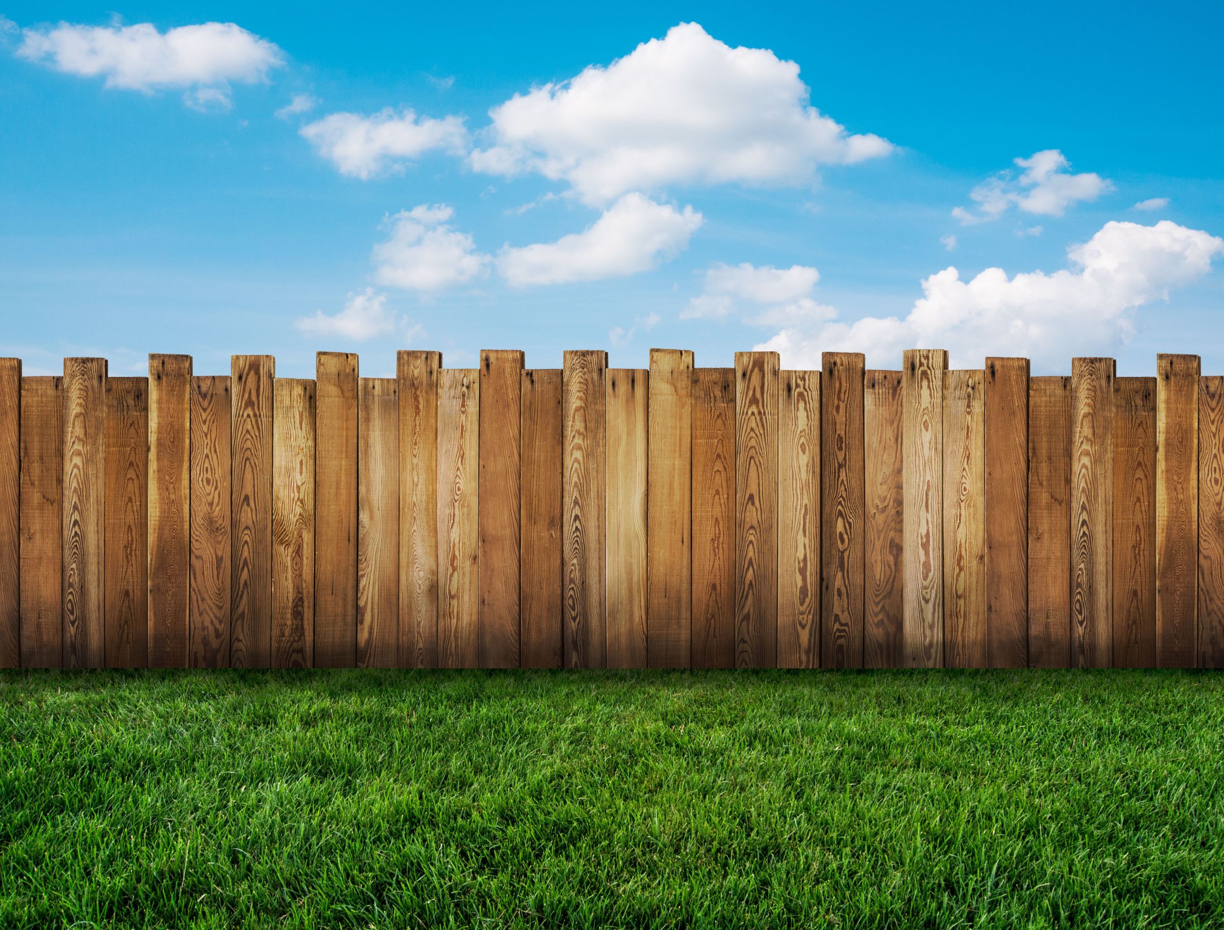 The Best Wood For a Backyard Fence
