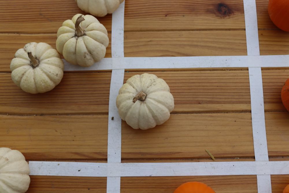 7 diy pumpkin d cor ideas