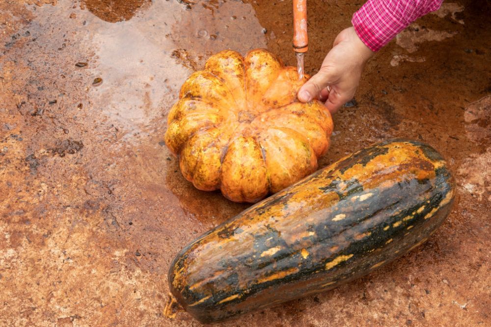 How to Paint Pumpkins
