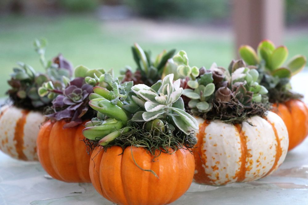 7 Diy Pumpkin Décor Ideas