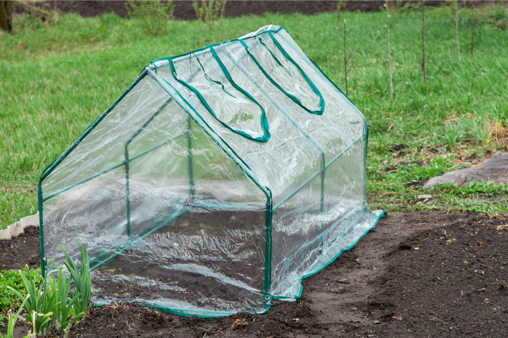 mini greenhouse made of PVC pipes