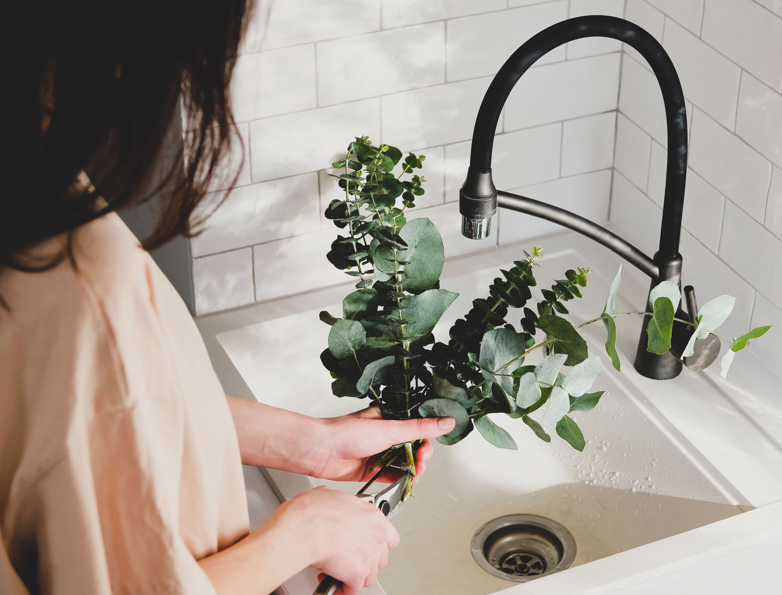 3 Benefits of Growing Eucalyptus in Your Home