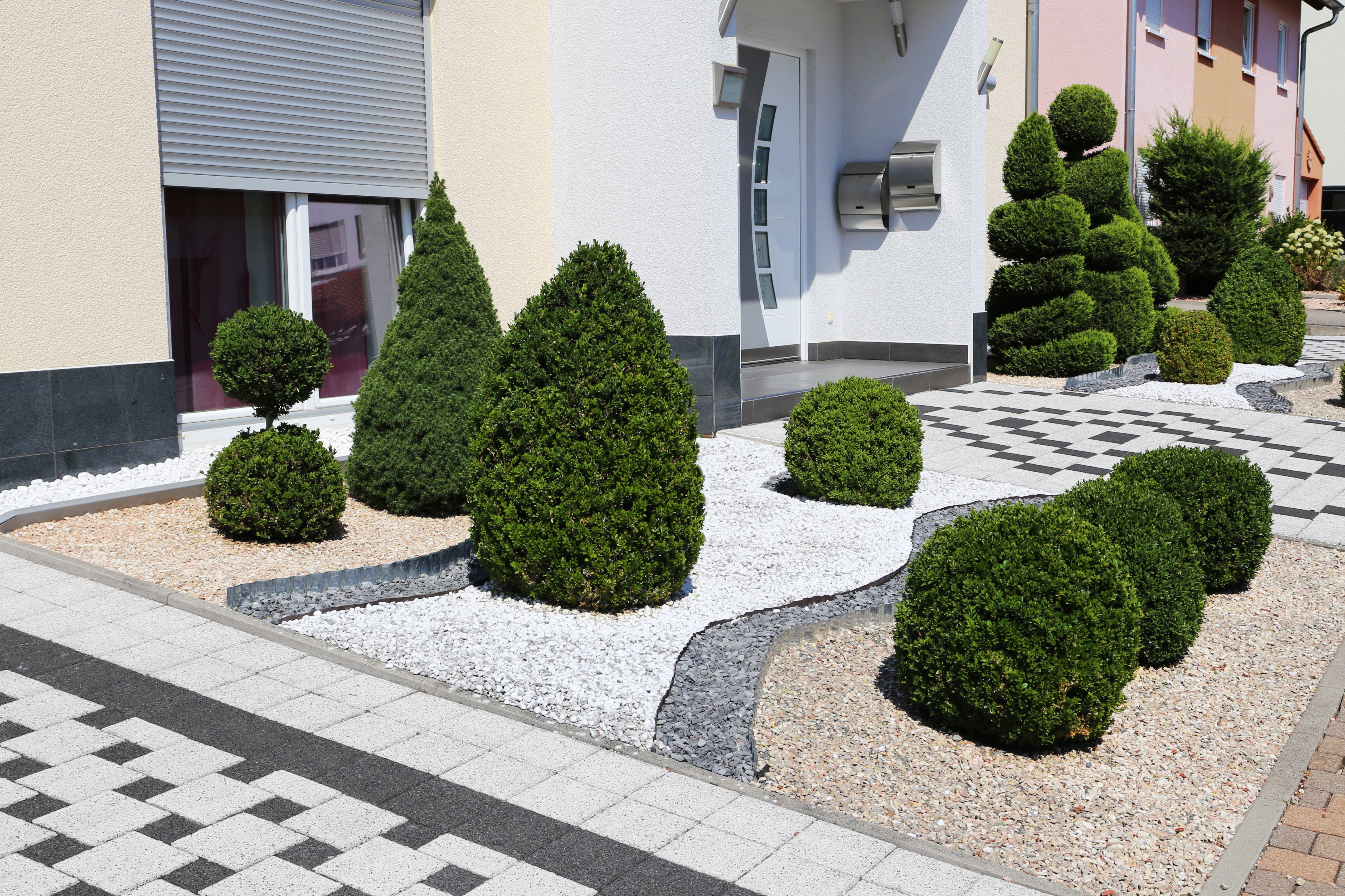 Modern front yard with decorative gravel and boxwoods