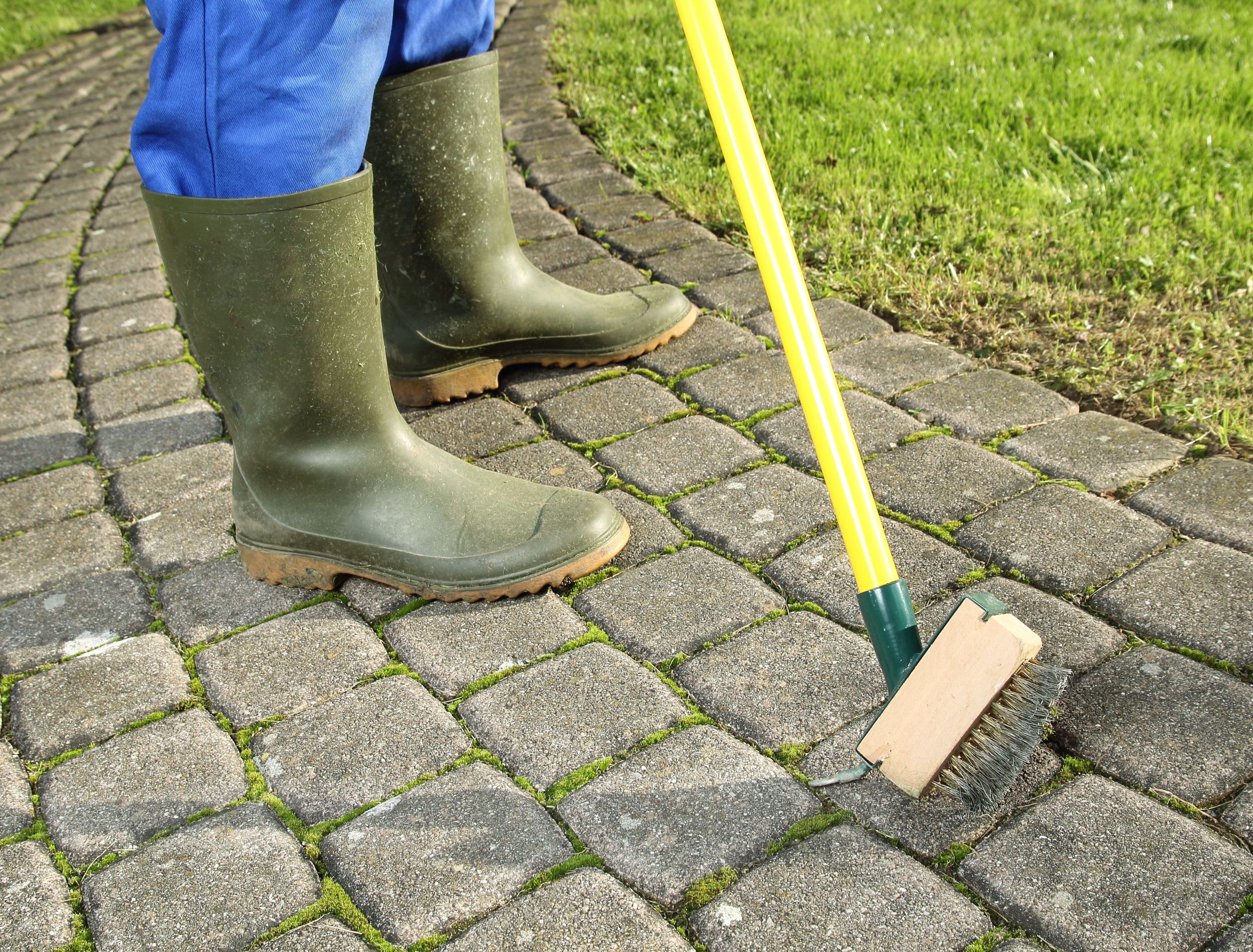 5 Simple Ways To Remove Moss From Your Pavers