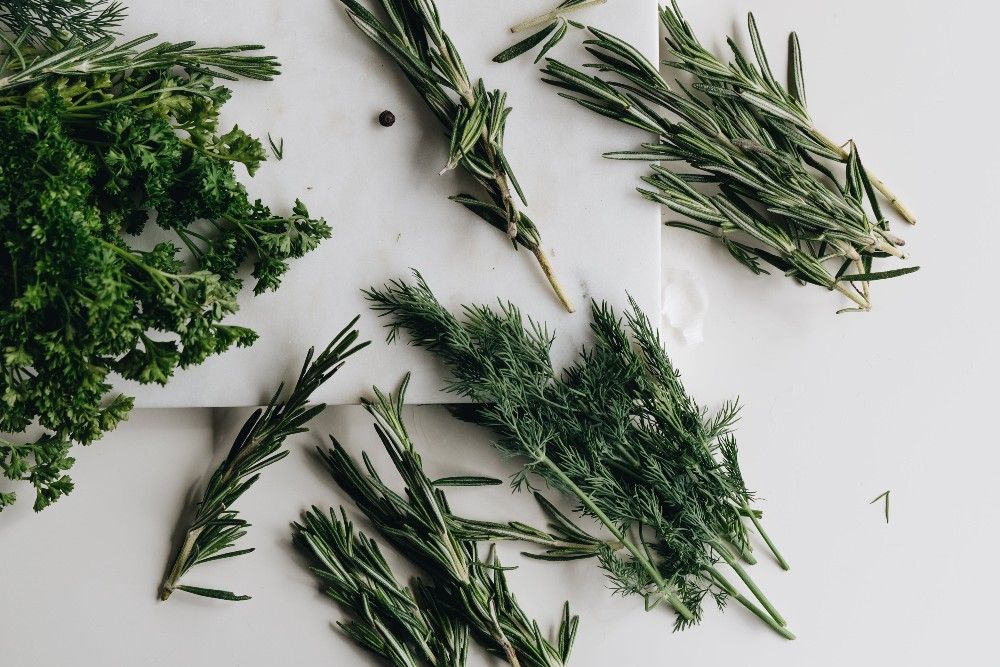 herbs on a kitchen counter