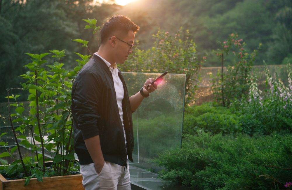 8 Ways to Get Free Rocks for Your Garden