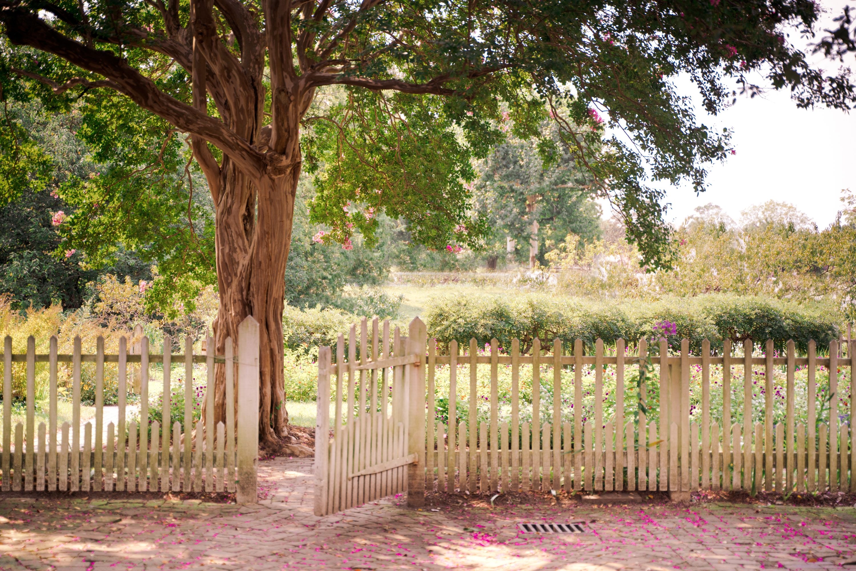4 Charming Picket Fence Ideas For Your Landscape
