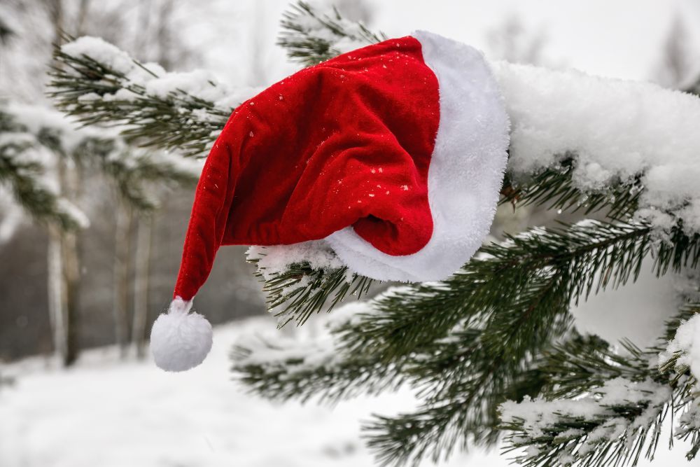 Santa hat on a tree